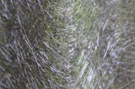 Hilcot End fibreglass roof work